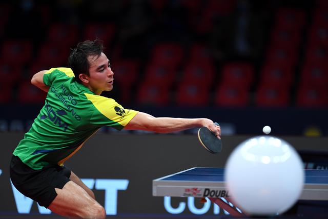 博洛尼亚的 博洛尼亚的